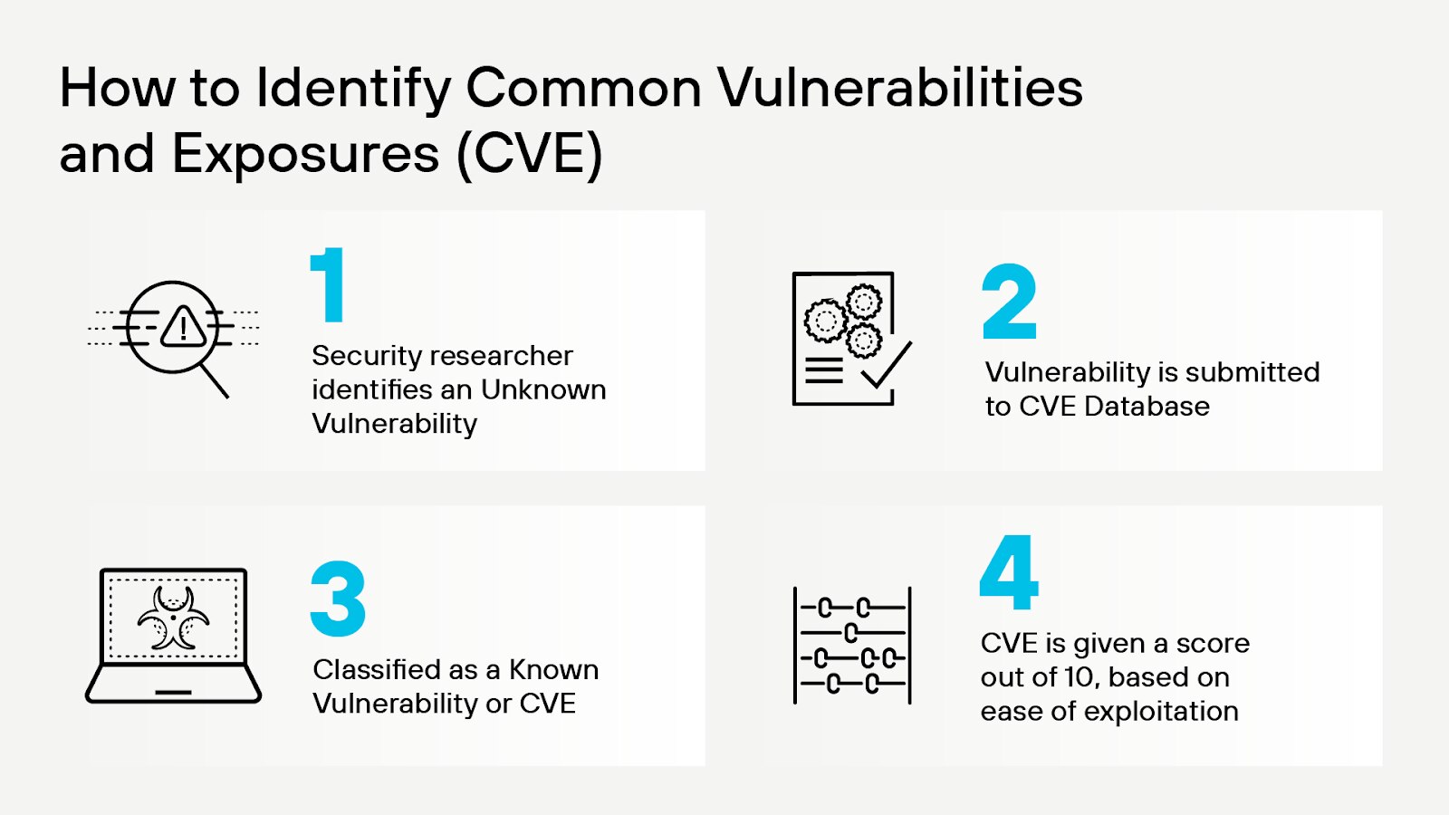 CVE 識別程序