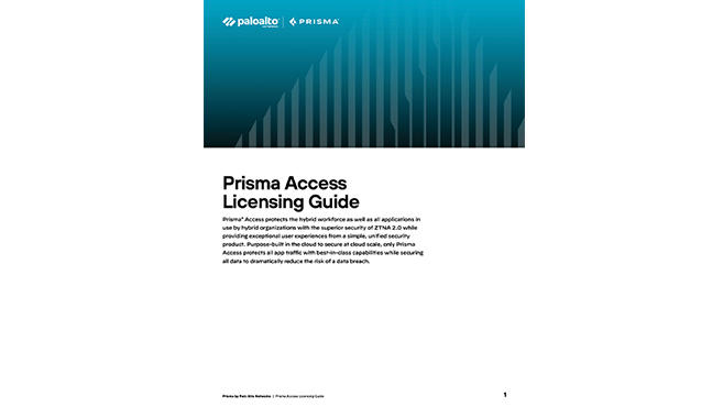 Prisma Access 授權指南