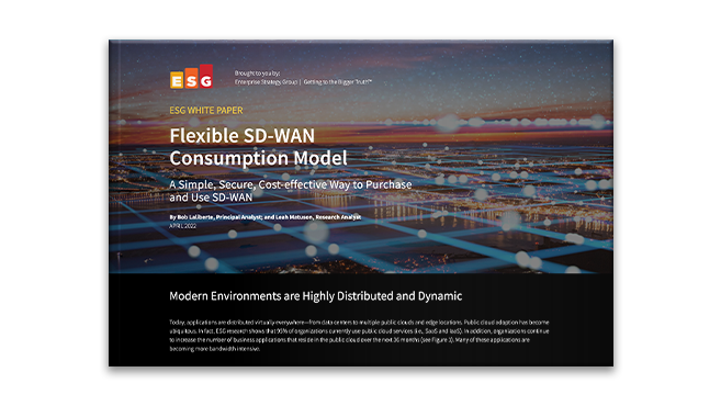 彈性 SD-WAN 使用模式