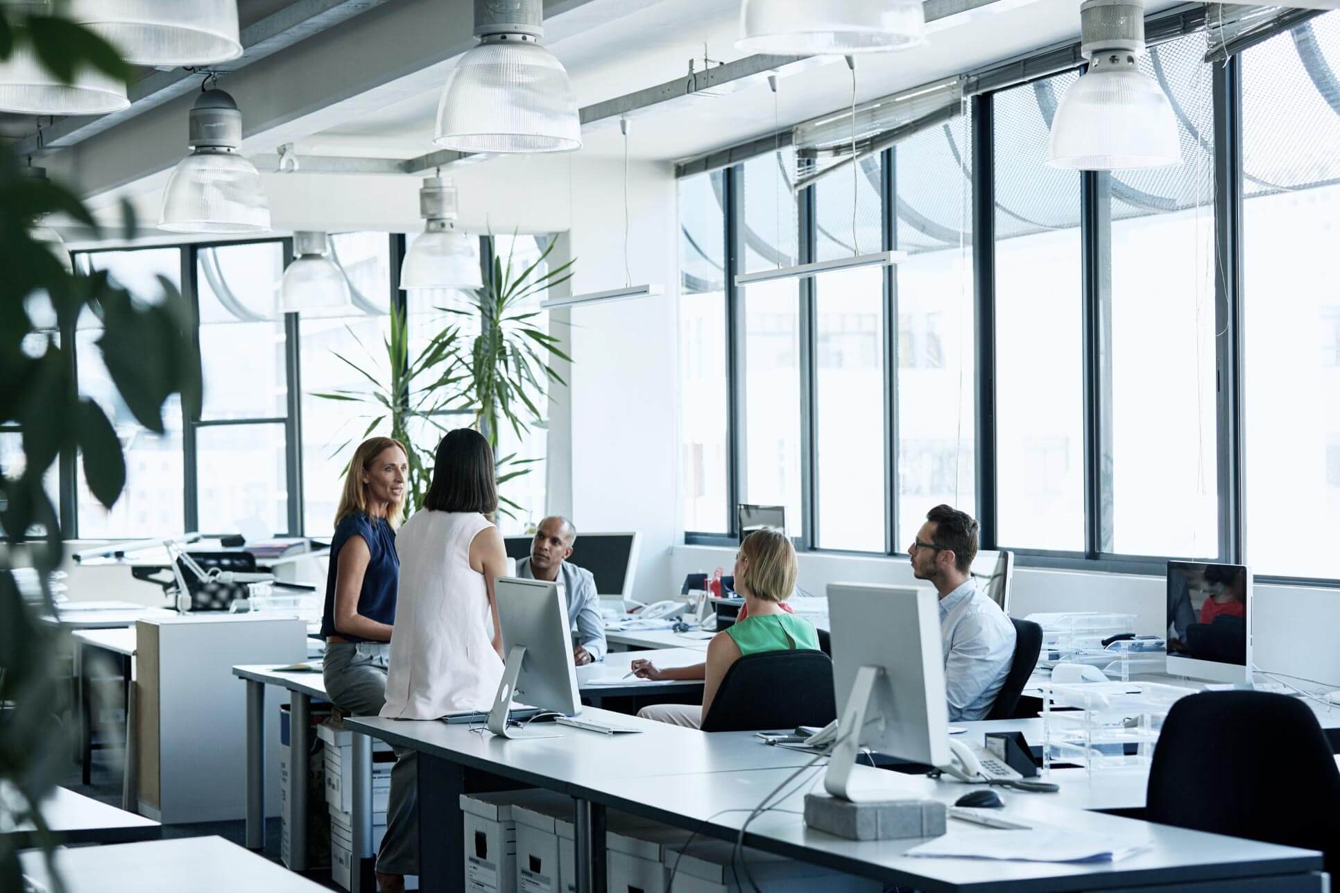 Several employees at their desks in an open office setting.